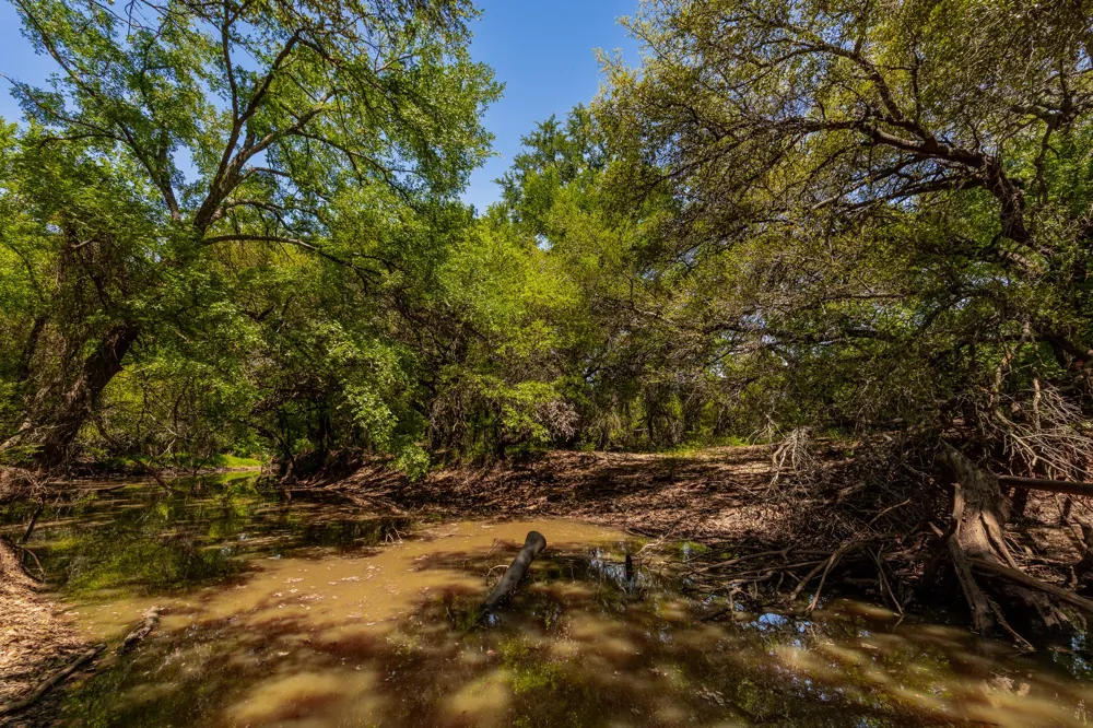 County Road 120 Coleman, TX 76834