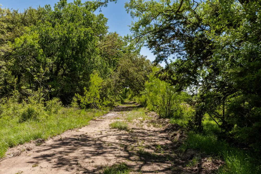 County Road 120 Coleman, TX 76834