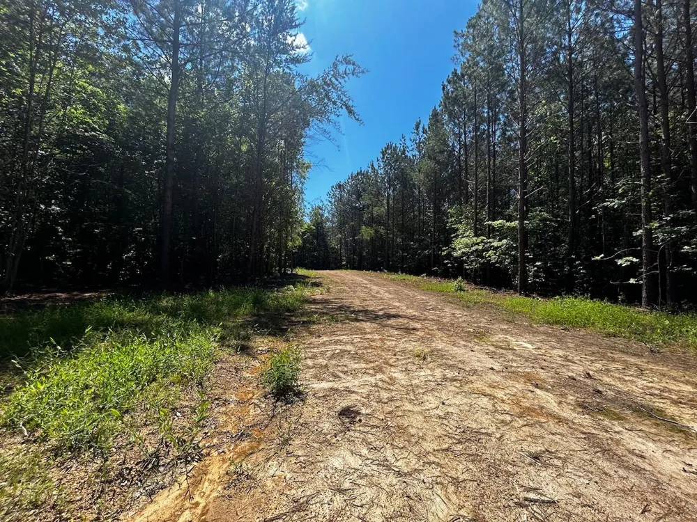 34 State Highway 304 Ten Mile, TN 37880