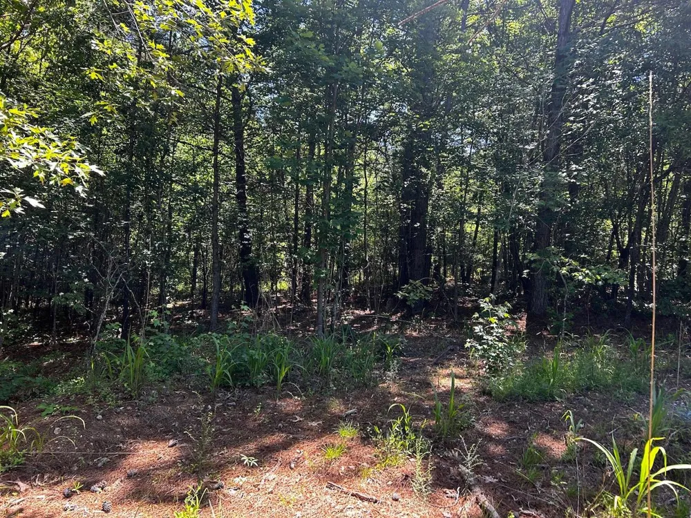 34 State Highway 304 Ten Mile, TN 37880