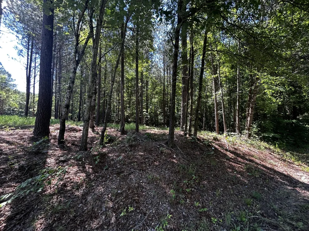 34 State Highway 304 Ten Mile, TN 37880