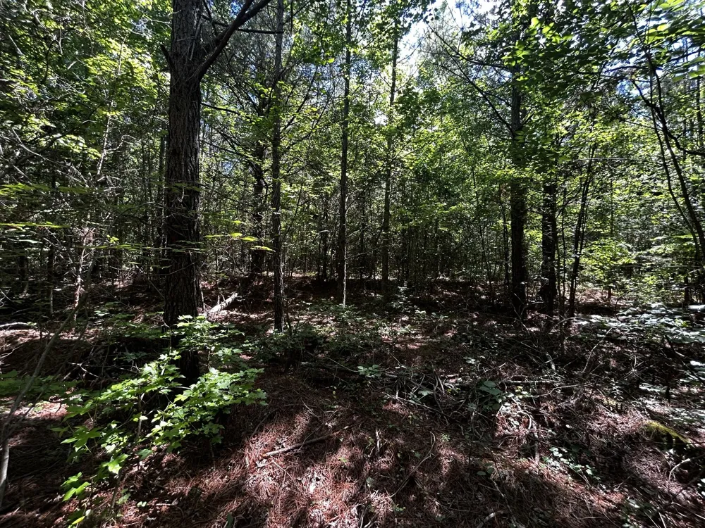 34 State Highway 304 Ten Mile, TN 37880