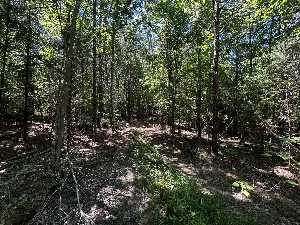 34 State Highway 304 Ten Mile, TN 37880