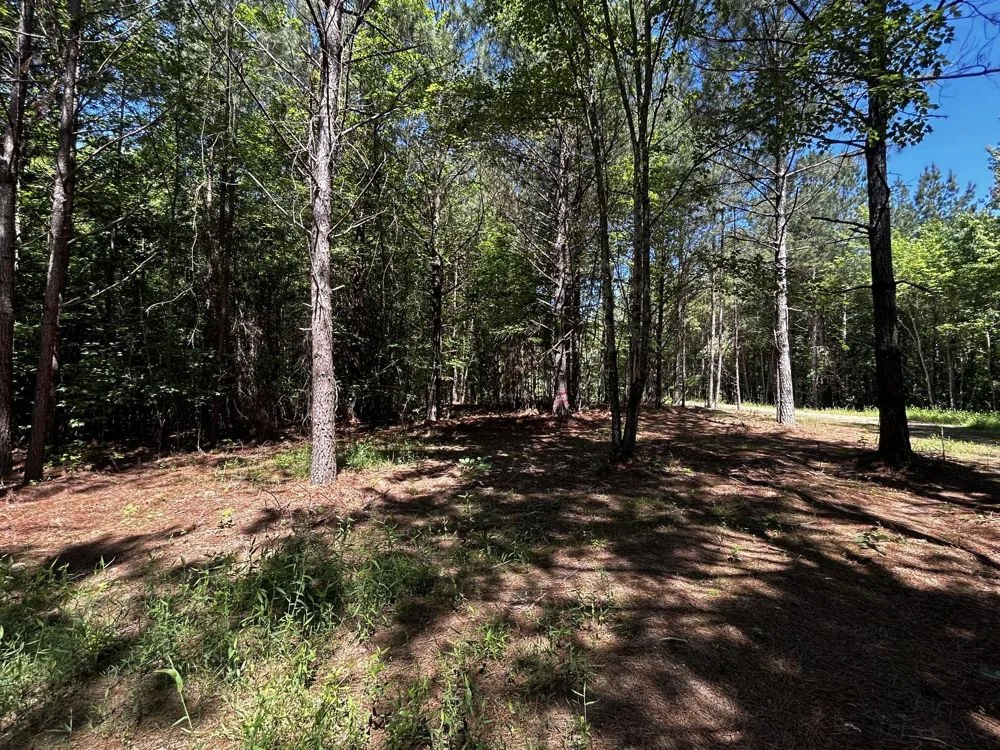 34 State Highway 304 Ten Mile, TN 37880
