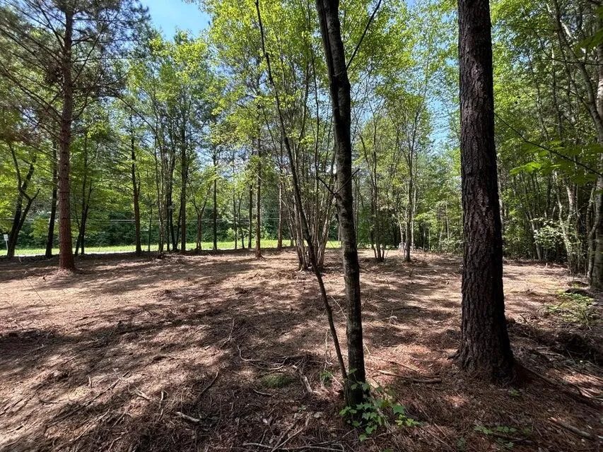 34 State Highway 304 Ten Mile, TN 37880