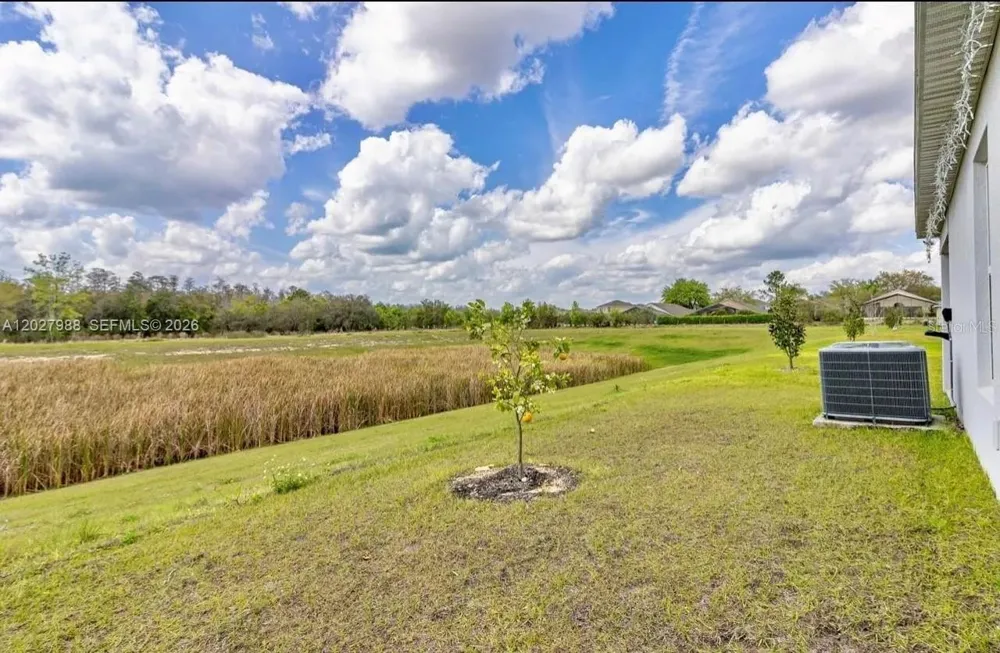 1136 Papaya Cir Davenport, FL 33897