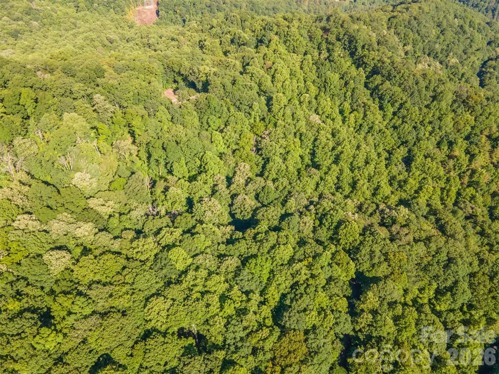 Lot 57 Morningside Drive #57 Tuckasegee, NC 28783