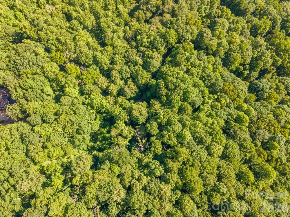 Lot 57 Morningside Drive #57 Tuckasegee, NC 28783