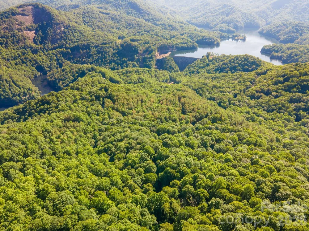 Lot 57 Morningside Drive #57 Tuckasegee, NC 28783