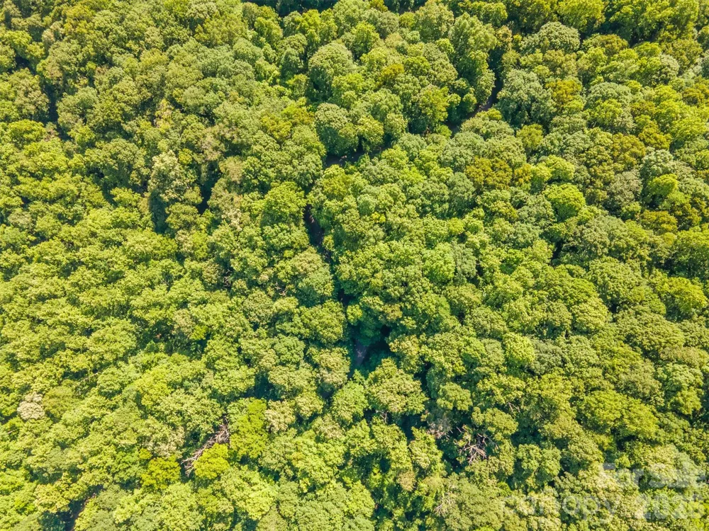 Lot 57 Morningside Drive #57 Tuckasegee, NC 28783