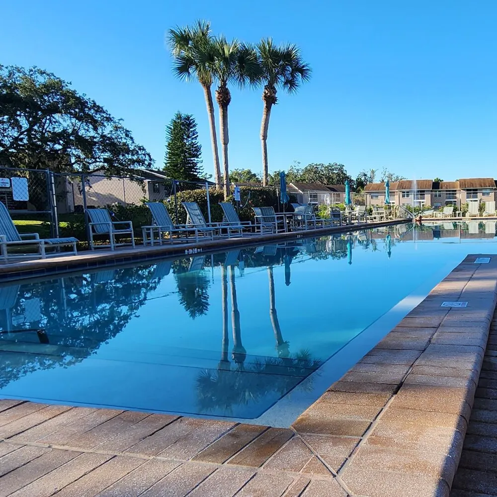 6440 Spring Flower Drive #14 New Port Richey, FL 34653
