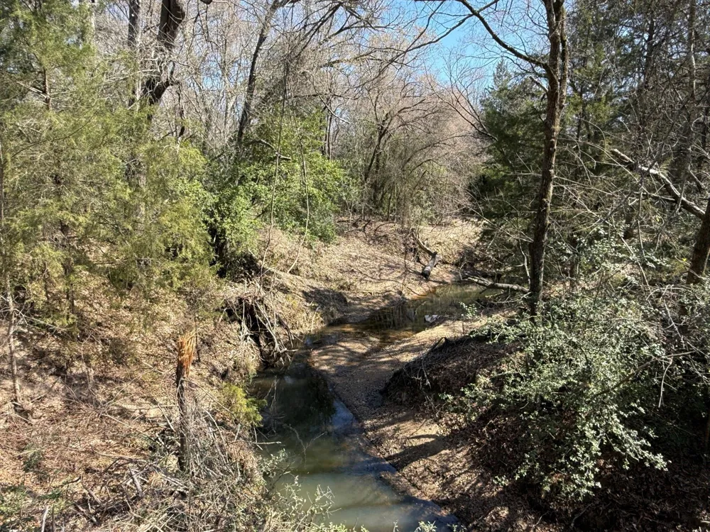 7 Fcr 441 Fairfield, TX 75840