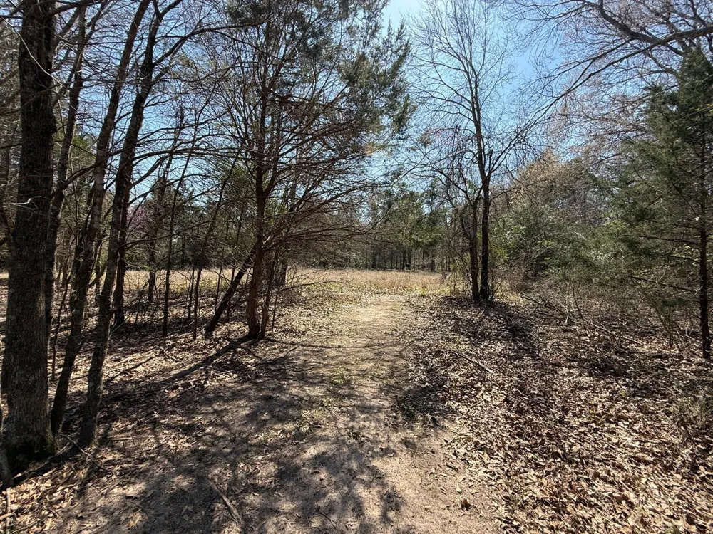 7 Fcr 441 Fairfield, TX 75840