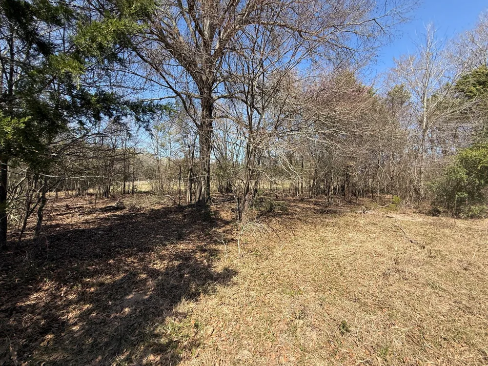 7 Fcr 441 Fairfield, TX 75840