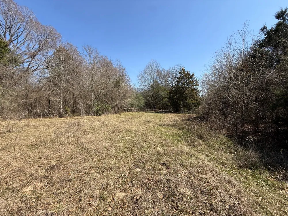 7 Fcr 441 Fairfield, TX 75840