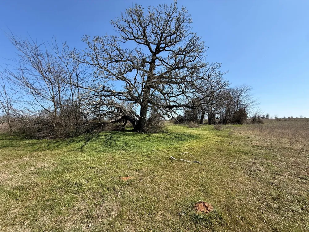 7 Fcr 441 Fairfield, TX 75840