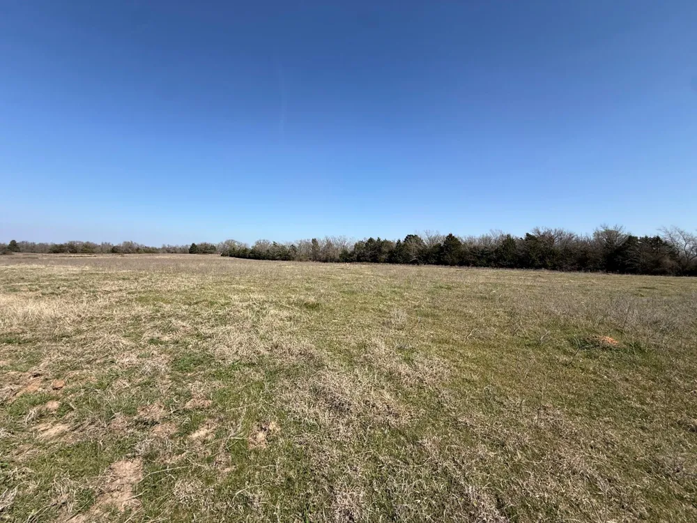 7 Fcr 441 Fairfield, TX 75840