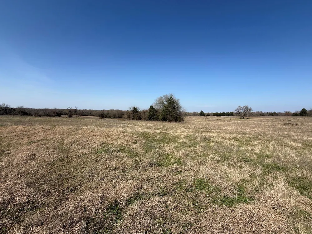 7 Fcr 441 Fairfield, TX 75840