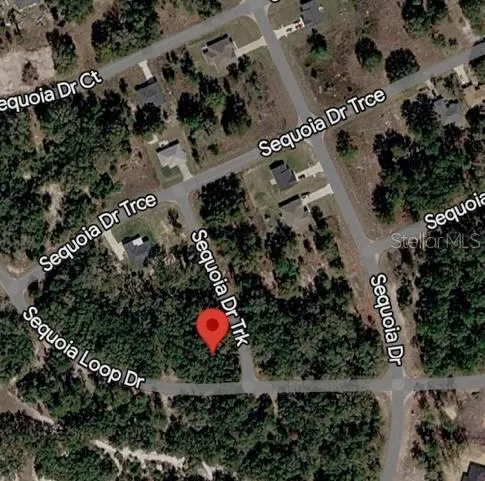 SEQUOIA DRIVE #Lot 5 Ocklawaha, FL 32179