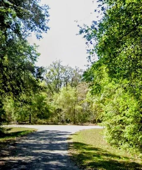 SEQUOIA DRIVE #Lot 5 Ocklawaha, FL 32179