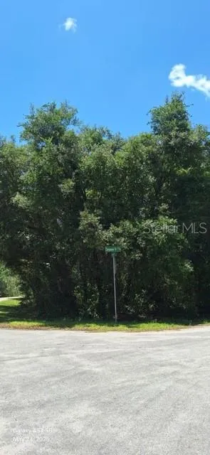 SEQUOIA DRIVE #Lot 5 Ocklawaha, FL 32179