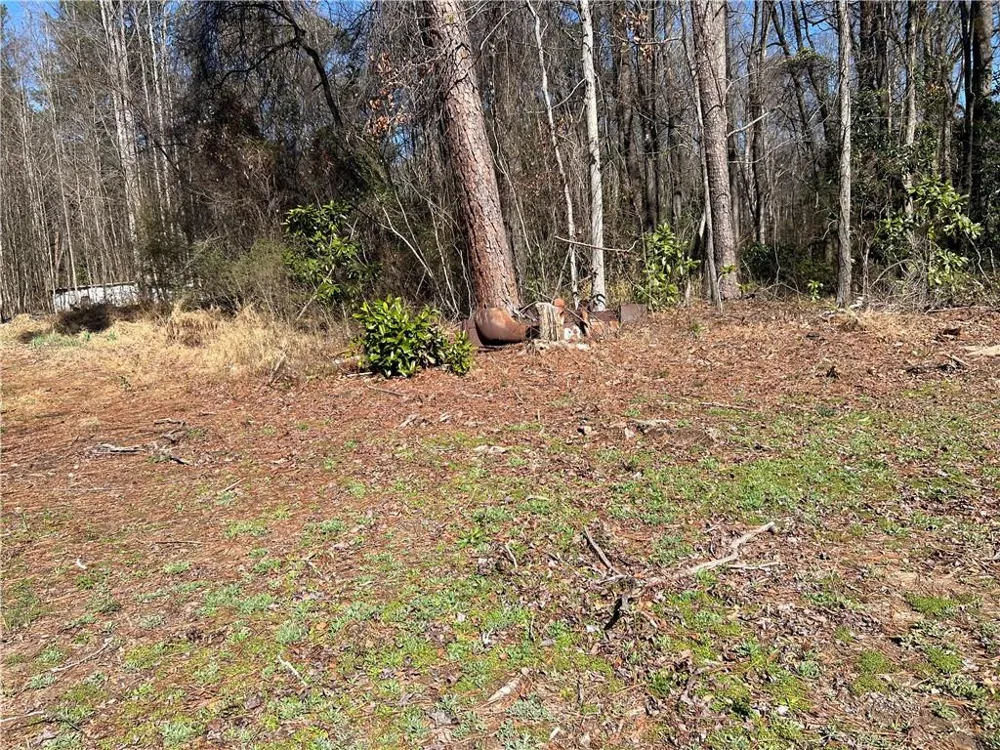 4175 Campbell Road Snellville, GA 30039