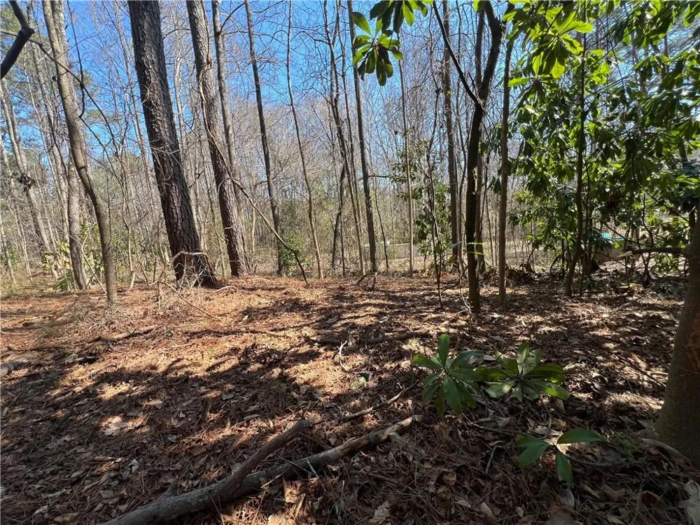 4175 Campbell Road Snellville, GA 30039