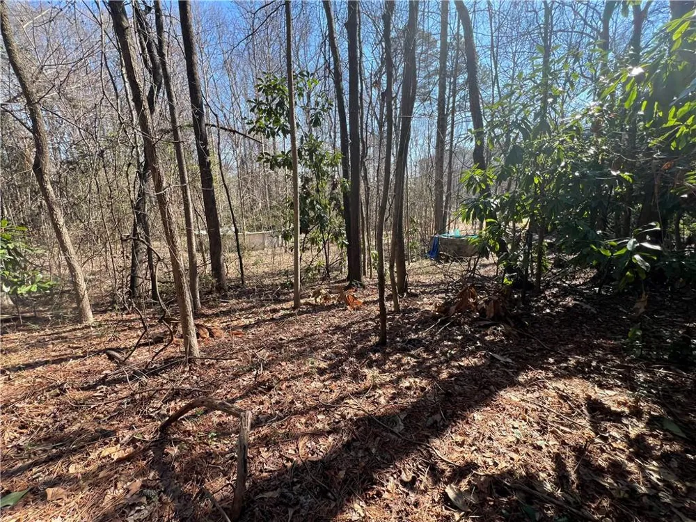4175 Campbell Road Snellville, GA 30039