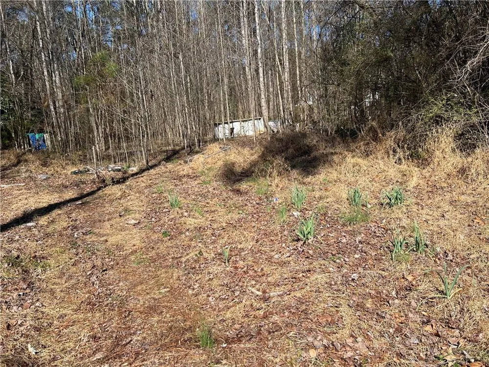 4175 Campbell Road Snellville, GA 30039