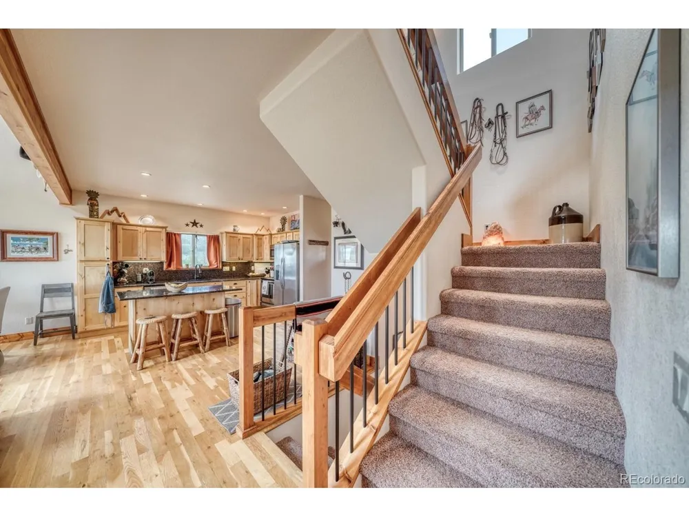 2977 High Creek Road Fairplay, CO 80440