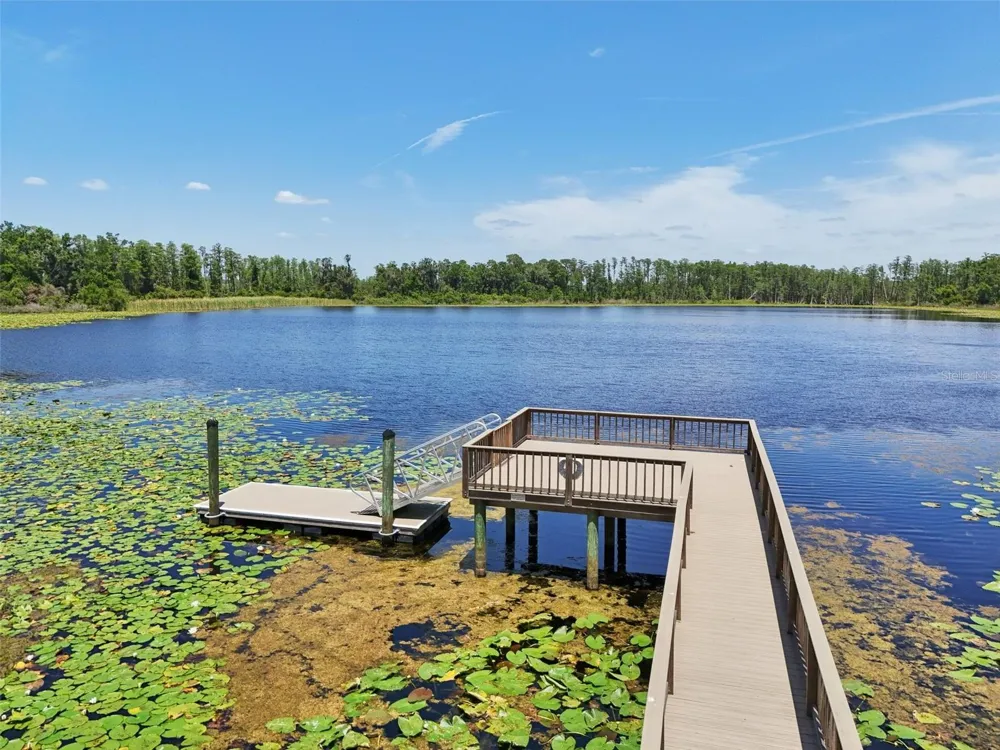 1741 CHERRY WALK ROAD Lutz, FL 33558