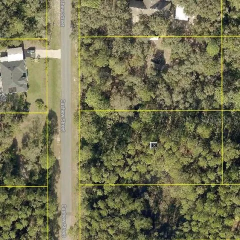 Address Not Shown