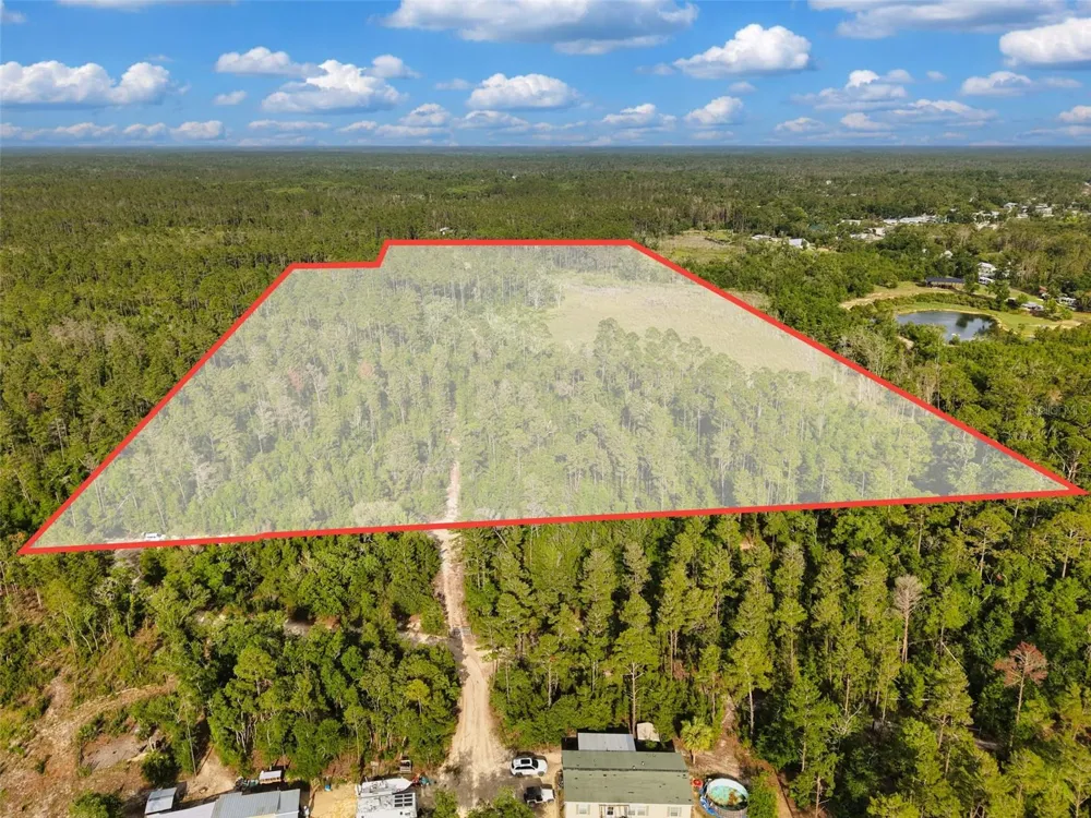 SAVANNA LANE Steinhatchee, FL 32359