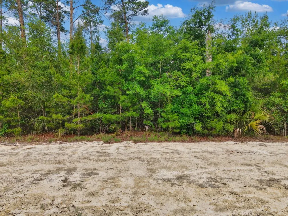 SAVANNA LANE Steinhatchee, FL 32359