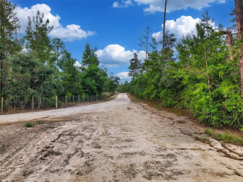 SAVANNA LANE Steinhatchee, FL 32359