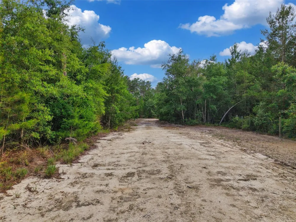 SAVANNA LANE Steinhatchee, FL 32359