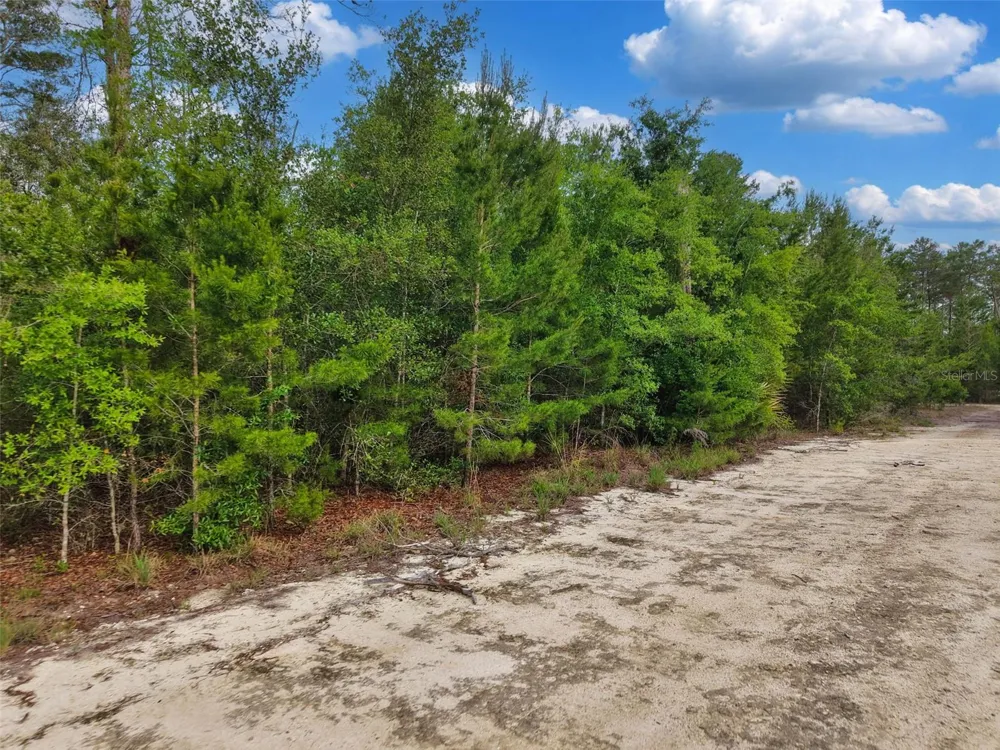 SAVANNA LANE Steinhatchee, FL 32359