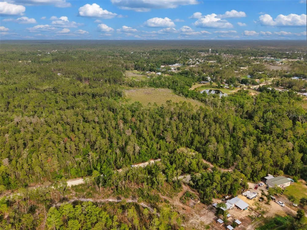 SAVANNA LANE Steinhatchee, FL 32359