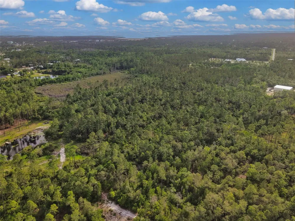 SAVANNA LANE Steinhatchee, FL 32359