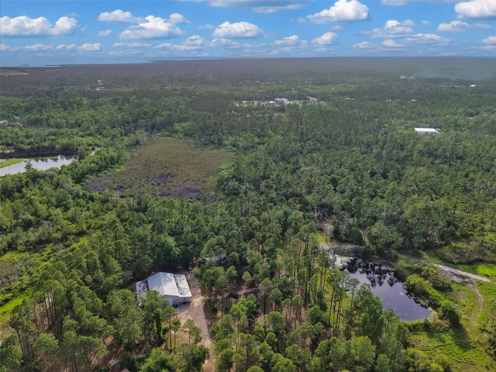 SAVANNA LANE Steinhatchee, FL 32359