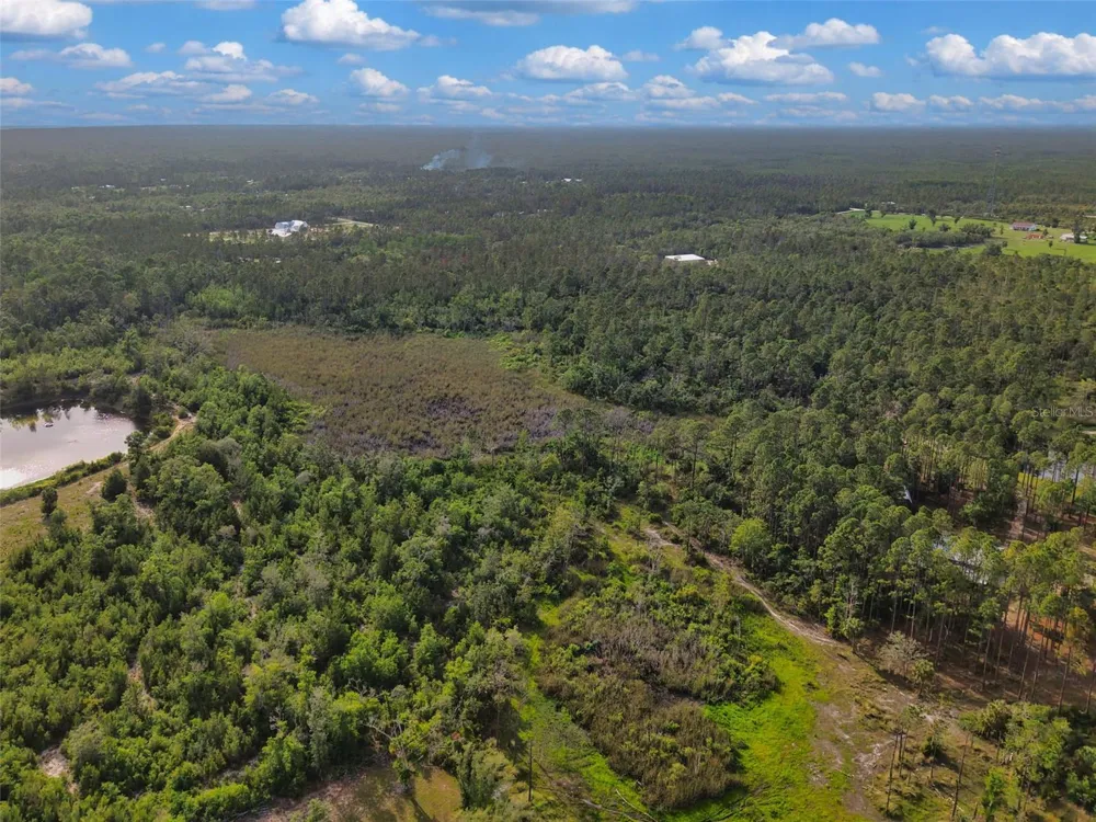SAVANNA LANE Steinhatchee, FL 32359