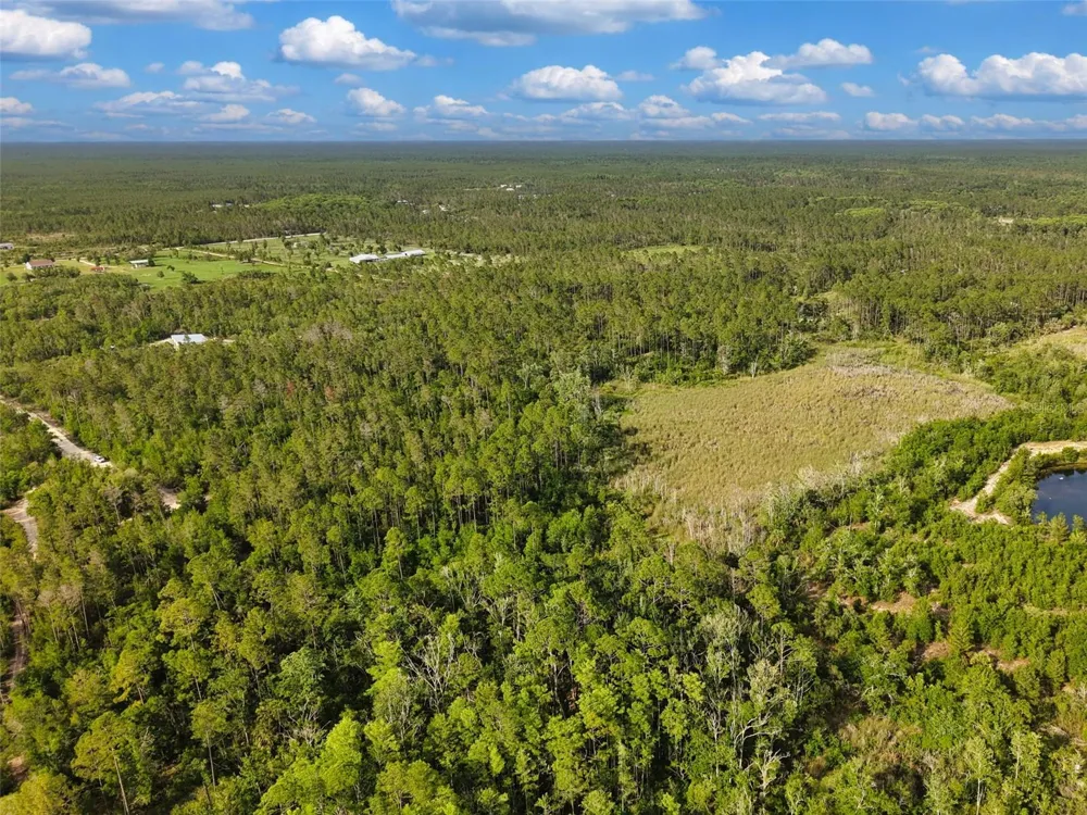 SAVANNA LANE Steinhatchee, FL 32359