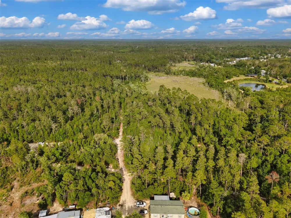 SAVANNA LANE Steinhatchee, FL 32359