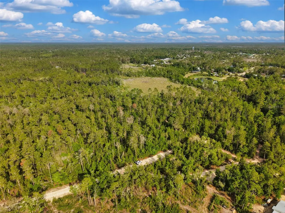 SAVANNA LANE Steinhatchee, FL 32359