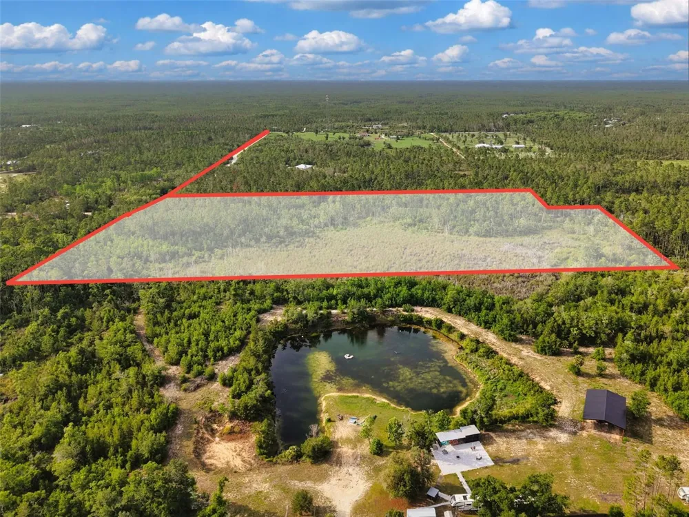 SAVANNA LANE Steinhatchee, FL 32359