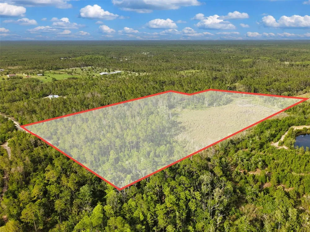SAVANNA LANE Steinhatchee, FL 32359