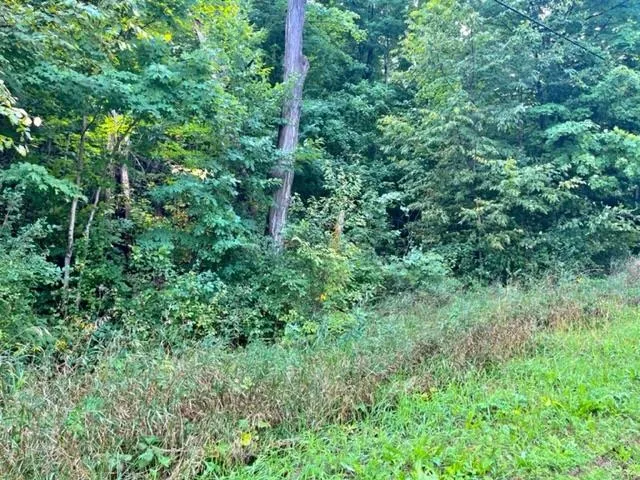 Killdale Avenue Benzonia Township, MI 49616