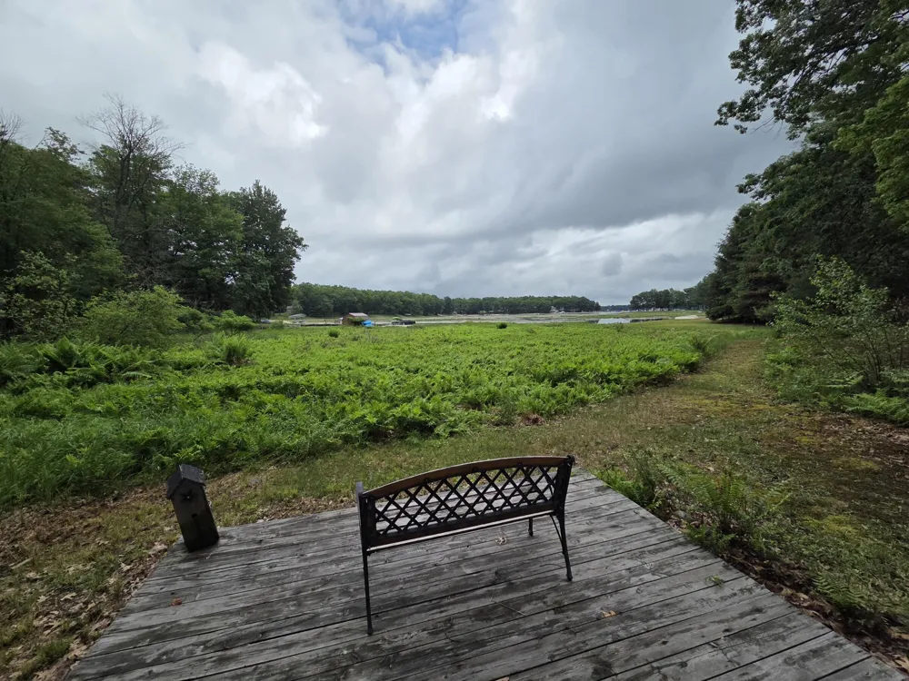 14564 S Star Lake Drive Lake Township, MI 49304
