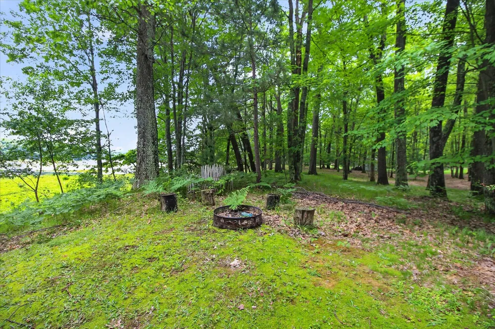 14564 S Star Lake Drive Lake Township, MI 49304