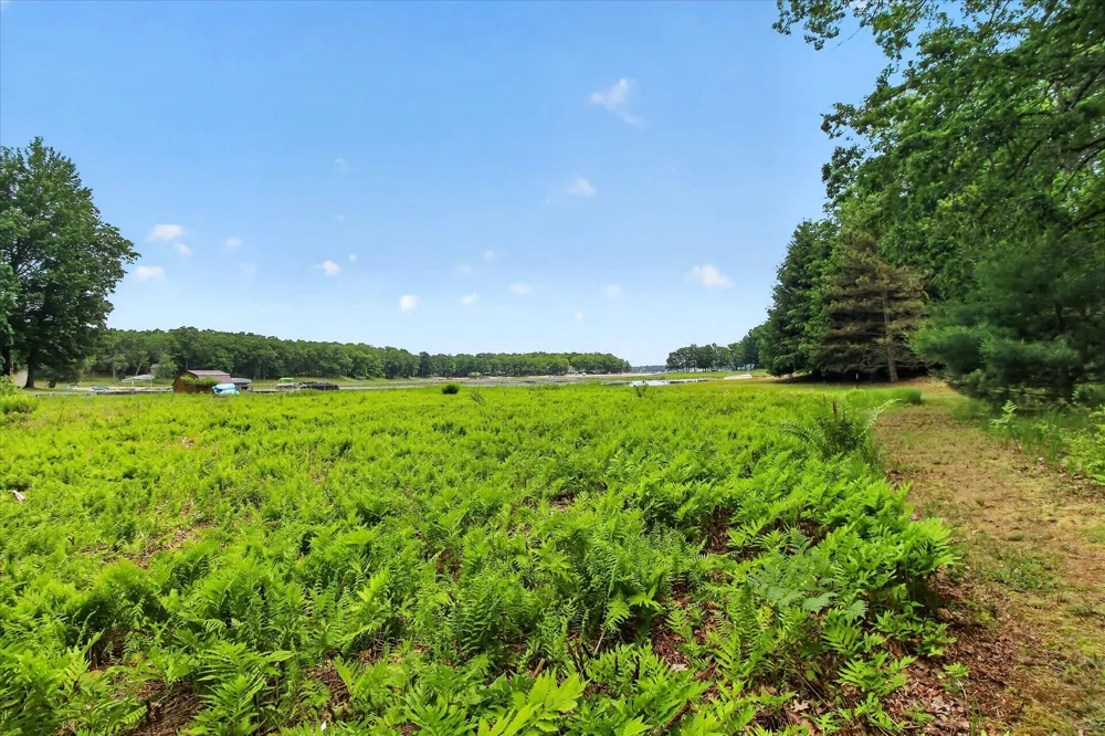 14564 S Star Lake Drive Lake Township, MI 49304